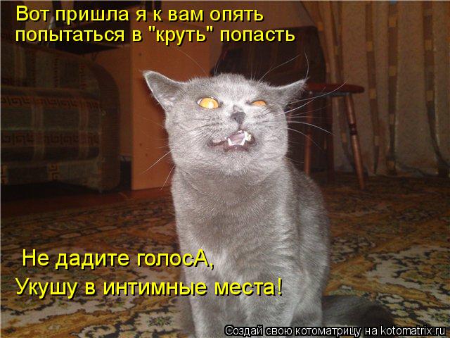 Вот пришла я к вам опять попытаться в "круть" попасть Не дадите голосА, Укушу в интимные места!... Котоматрица: Вот пришла я к вам опять попытаться в "круть" попасть Не дадите голосА, Укушу в интимные места!