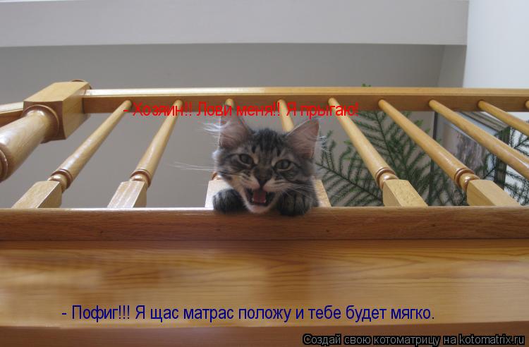 - Хозяин!! Лови меня!! Я прыгаю! - Пофиг!!! Я щас матрас положу и тебе будет мягко.... Котоматрица: - Хозяин!! Лови меня!! Я прыгаю! - Пофиг!!! Я щас матрас положу и тебе будет мягко.