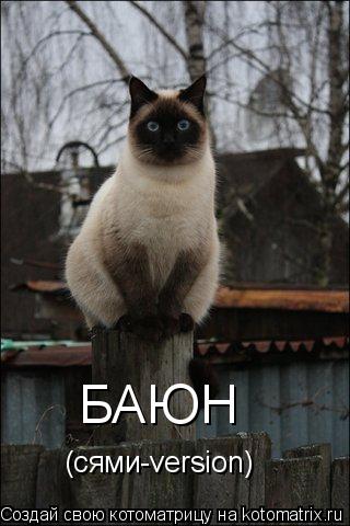 БАЮН (сями-version)... Котоматрица: БАЮН (сями-version)