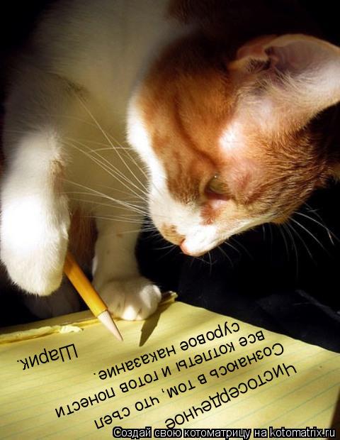Чистосердечное Сознаюсь в том, что съел все котлеты и готов понести суровое наказание. Шарик.... Котоматрица: Чистосердечное Сознаюсь в том, что съел все котлеты и готов понести суровое наказание. Шарик.