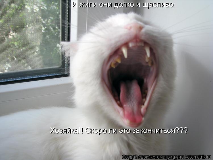 И жили они долко и щасливо Хозяйка!! Скоро ли это закончиться???... Котоматрица: И жили они долко и щасливо Хозяйка!! Скоро ли это закончиться???