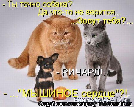 - Ты точно собака? Да,что-то не верится... ...Зовут тебя?... - РИЧАРД!... - ..."МЫШИНОЕ сердце"?!... Котоматрица: - Ты точно собака? Да,что-то не верится... ...Зовут тебя?... - РИЧАРД!... - ..."МЫШИНОЕ сердце"?!