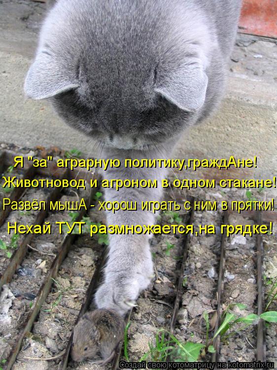 Я "за" аграрную политику,граждАне! Животновод и агроном в одном стакане! Развёл мышА - хорош играть с... Котоматрица: Я "за" аграрную политику,граждАне! Животновод и агроном в одном стакане! Развёл мышА - хорош играть с ним в прятки! Нехай ТУТ размножается,на