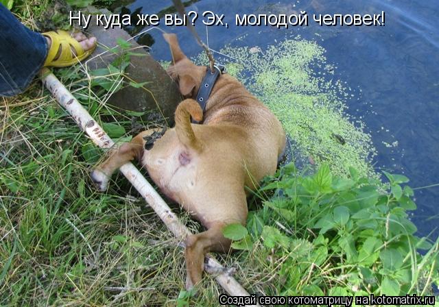 Ну куда же вы? Эх, молодой человек!... Котоматрица: Ну куда же вы? Эх, молодой человек!
