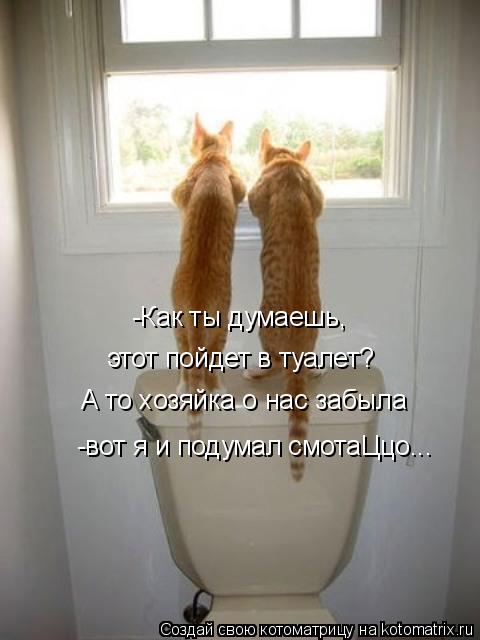 -Как ты думаешь, этот пойдет в туалет? -Как ты думаешь, этот пойдет в туалет? А то хозяйка о нас за... Котоматрица: -Как ты думаешь, этот пойдет в туалет? -Как ты думаешь, этот пойдет в туалет? А то хозяйка о нас забыла -вот я и подумал смотаЦцо...