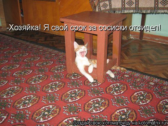 -Хозяйка! Я свой срок за сосиски отсидел!... Котоматрица: -Хозяйка! Я свой срок за сосиски отсидел!