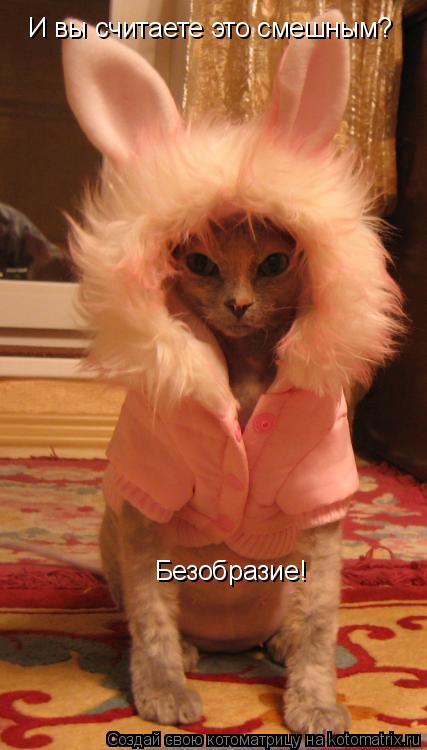 И вы считаете это смешным? Безобразие!... Котоматрица: И вы считаете это смешным? Безобразие!