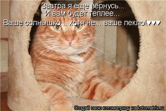 Завтра я еще вернусь... И вам будет теплее... Ваше солнышко... хотя не... ваше пекло!♥♥&... Котоматрица: Завтра я еще вернусь... И вам будет теплее... Ваше солнышко... хотя не... ваше пекло!♥♥♥