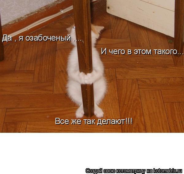 Да , я озабоченый .... И чего в этом такого... Все же так делают!!!... Котоматрица: Да , я озабоченый .... И чего в этом такого... Все же так делают!!!