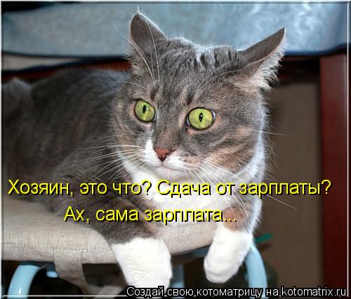 Хозяин, это что? Сдача от зарплаты? Ах, сама зарплата...... Котоматрица: Хозяин, это что? Сдача от зарплаты? Ах, сама зарплата...