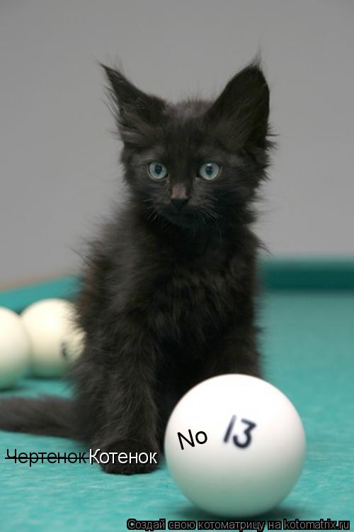 Чертенок ________ Котенок No... Котоматрица: Чертенок ________ Котенок No