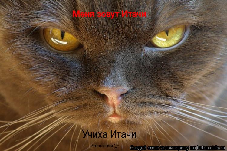 Меня зовут Итачи Меня зовут Итачи Учиха Итачи А вы все лохи ^_^... Котоматрица: Меня зовут Итачи Меня зовут Итачи Учиха Итачи А вы все лохи ^_^