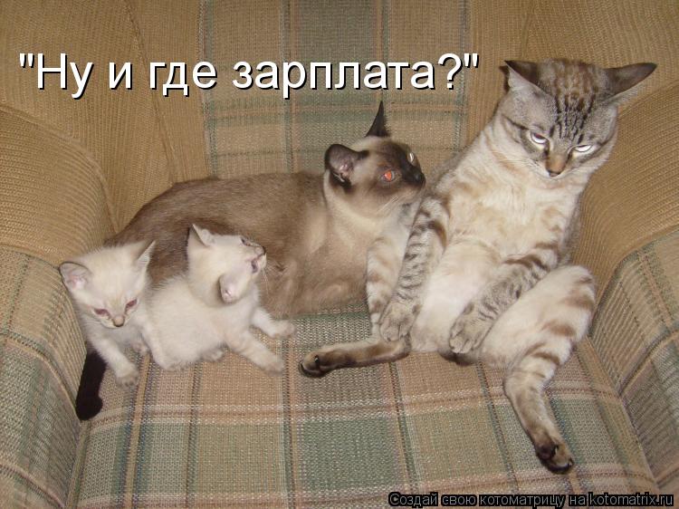 "Ну и где зарплата?"... Котоматрица: "Ну и где зарплата?"