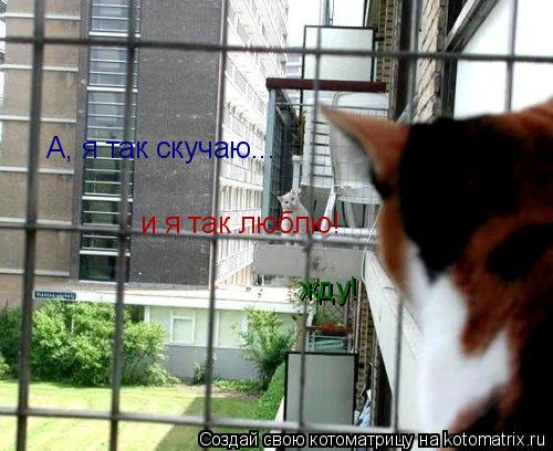 А, я так скучаю... и я так люблю! жду!... Котоматрица: А, я так скучаю... и я так люблю! жду!