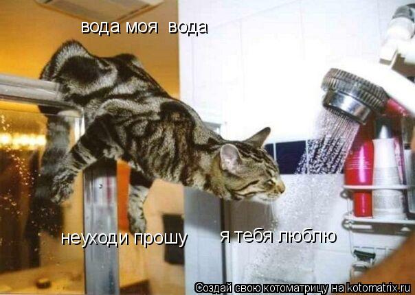 вода моя вода неуходи прошу я тебя люблю... Котоматрица: вода моя вода неуходи прошу я тебя люблю
