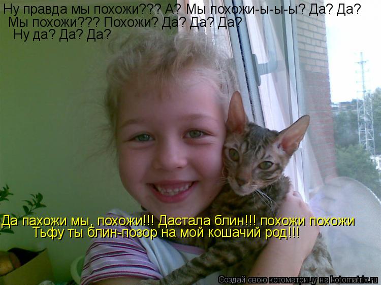 Ну правда мы похожи??? А? Мы похожи-ы-ы-ы? Да? Да? Мы похожи??? Похожи? Да? Да? Да? Ну да? Да? Да? Да... Котоматрица: Ну правда мы похожи??? А? Мы похожи-ы-ы-ы? Да? Да? Мы похожи??? Похожи? Да? Да? Да? Ну да? Да? Да? Да пахожи мы, похожи!!! Дастала блин!!! похожи похо