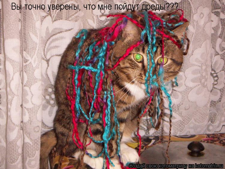 Вы точно уверены, что мне пойдут дреды???... Котоматрица: Вы точно уверены, что мне пойдут дреды???