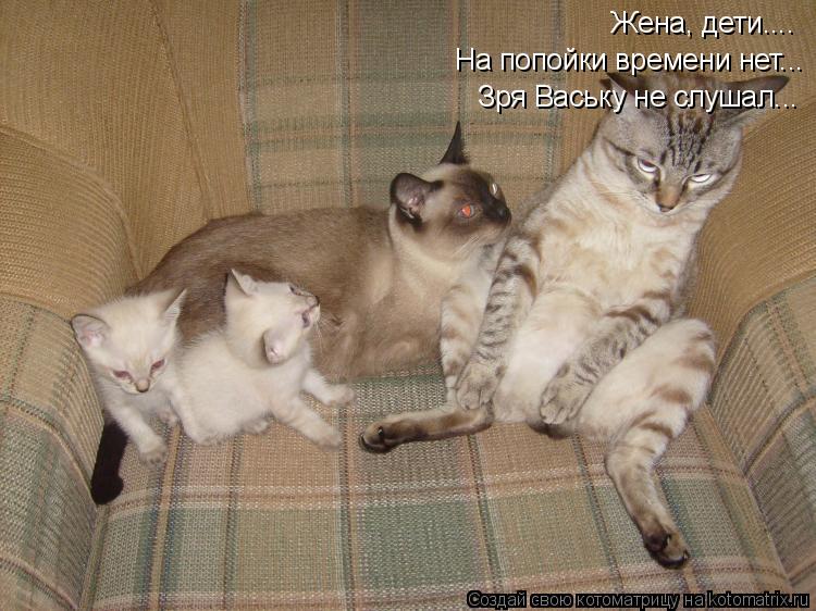 Жена, дети.... На попойки времени нет... Зря Ваську не слушал...... Котоматрица: Жена, дети.... На попойки времени нет... Зря Ваську не слушал...