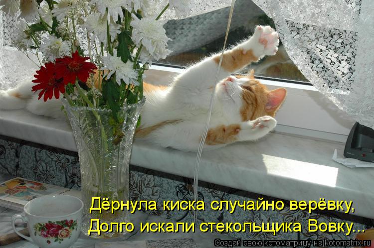 Долго искали стекольщика Вовку... Дёрнула киска случайно верёвку,... Котоматрица: Долго искали стекольщика Вовку... Дёрнула киска случайно верёвку,
