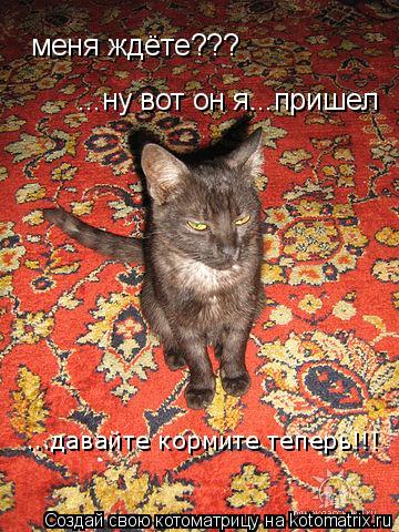 меня ждёте??? ...ну вот он я...пришел ...давайте кормите теперь!!!... Котоматрица: меня ждёте??? ...ну вот он я...пришел ...давайте кормите теперь!!!