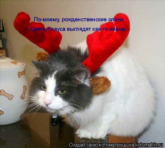 По-моему, рожденственские олени Санта-Клауса выглядят как-то иначе...... Котоматрица: По-моему, рожденственские олени Санта-Клауса выглядят как-то иначе...