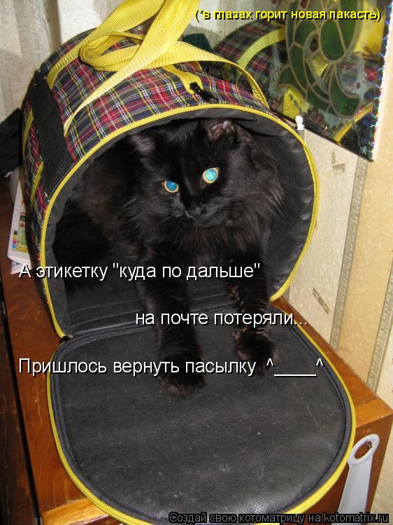 А этикетку "куда по дальше" на почте потеряли... Пришлось вернуть пасылку ^____^ (*в глазах горит н... Котоматрица: А этикетку "куда по дальше" на почте потеряли... Пришлось вернуть пасылку ^____^ (*в глазах горит новая пакасть)