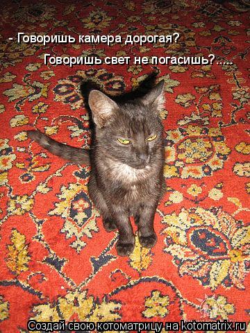 - Говоришь камера дорогая? Говоришь свет не погасишь?........ Котоматрица: - Говоришь камера дорогая? Говоришь свет не погасишь?.....