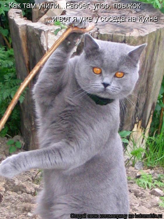 - Как там учили...Разбег, упор, прыжок ...и вот я уже у соседа на кухне... Котоматрица: - Как там учили...Разбег, упор, прыжок ...и вот я уже у соседа на кухне