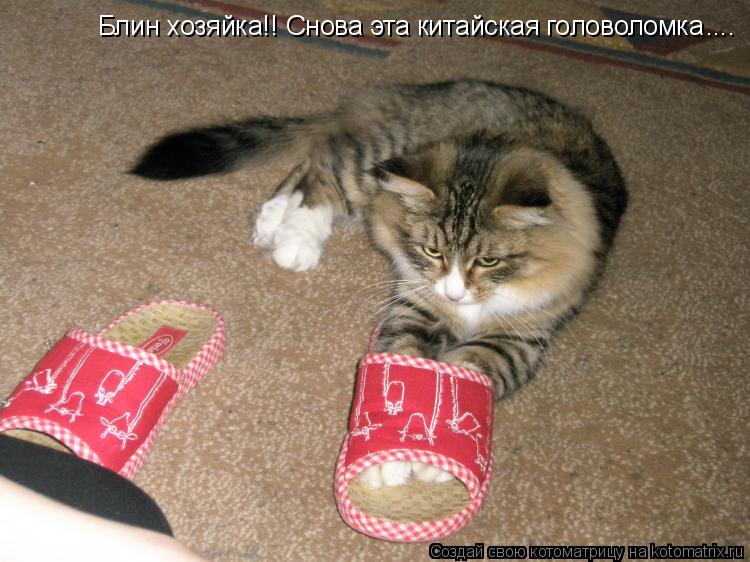 Блин хозяйка!! Снова эта китайская головоломка ....... Котоматрица: Блин хозяйка!! Снова эта китайская головоломка ....