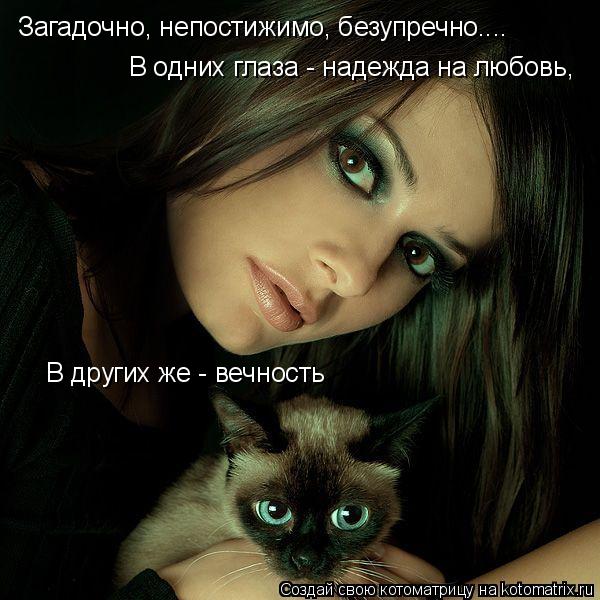Загадочно, непостижимо, безупречно.... В других же - вечность В одних глаза - надежда на любовь,... Котоматрица: Загадочно, непостижимо, безупречно.... В других же - вечность В одних глаза - надежда на любовь,