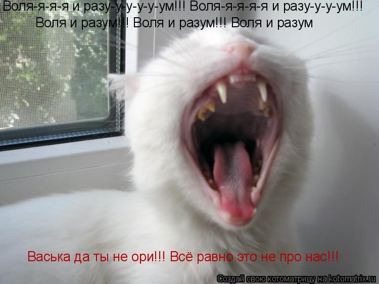 Воля-я-я-я и разу-у-у-у-у-ум!!! Воля-я-я-я-я и разу-у-у-ум!!! Воля и разум!!! Воля и разум!!! Воля и ... Котоматрица: Воля-я-я-я и разу-у-у-у-у-ум!!! Воля-я-я-я-я и разу-у-у-ум!!! Воля и разум!!! Воля и разум!!! Воля и разум Васька да ты не ори!!! Всё равно это не про