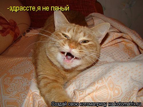 -здрассте,я не пяный... Котоматрица: -здрассте,я не пяный