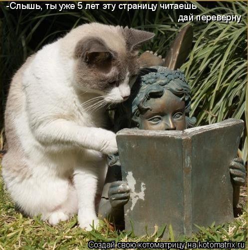 -Слышь, ты уже 5 лет эту страницу читаешь дай переверну... Котоматрица: -Слышь, ты уже 5 лет эту страницу читаешь дай переверну