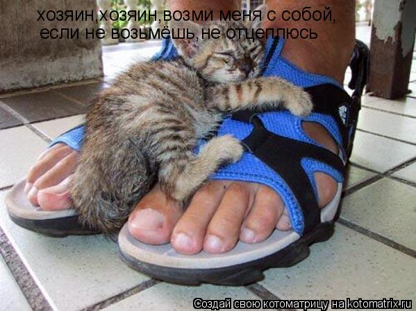 хозяин,хозяин,возми меня с собой, если не возьмёшь,не отцеплюсь... Котоматрица: хозяин,хозяин,возми меня с собой, если не возьмёшь,не отцеплюсь
