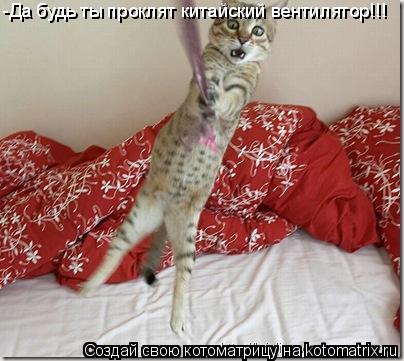 Котоматрица: -Да будь ты проклят китайский вентилятор!!!