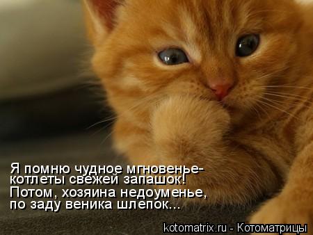 Я помню чудное мгновенье- Потом, хозяина недоуменье, по заду веника шлепок... котлеты свежей запашок!... Котоматрица: Я помню чудное мгновенье- Потом, хозяина недоуменье, по заду веника шлепок... котлеты свежей запашок!