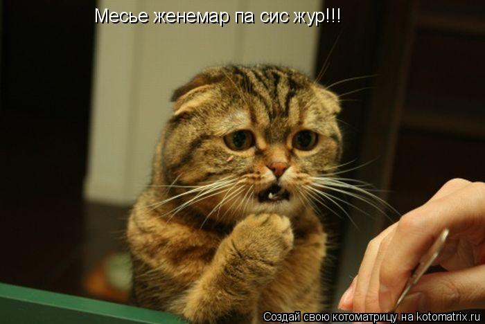 Котоматрица: Месье женемар па сис жур!!!