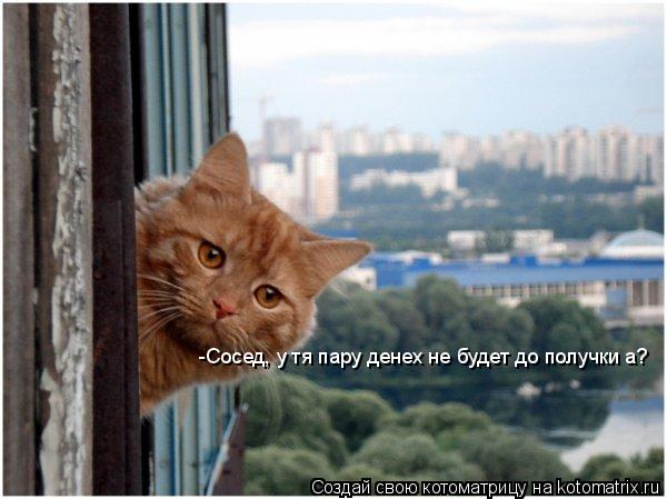 Котоматрица: -Сосед, у тя пару денех не будет до получки а?