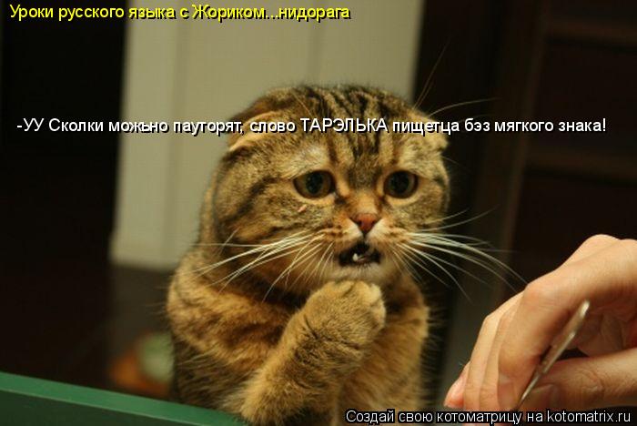 Котоматрица: -УУ Сколки можьно пауторят, слово ТАРЭЛЬКА пищетца бэз мягкого знака! Уроки русского языка с Жориком...нидорага