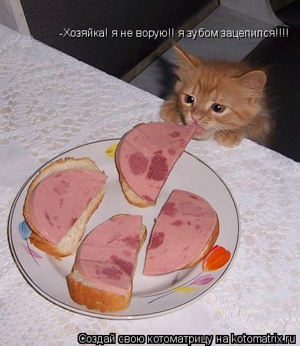 -Хозяйка! я не ворую!! я зубом зацепился!!!!... Котоматрица: -Хозяйка! я не ворую!! я зубом зацепился!!!!