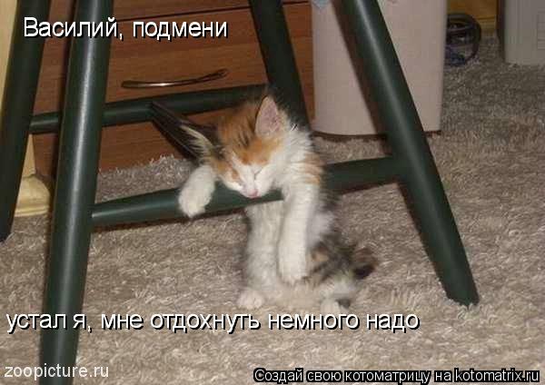 Василий, подмени Василий, подмени устал я, мне отдохнуть немного надо устал я, мне отдохнуть немного ... Котоматрица: Василий, подмени Василий, подмени устал я, мне отдохнуть немного надо устал я, мне отдохнуть немного надо