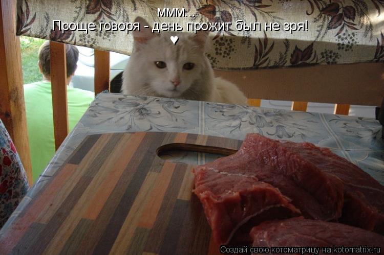 ммм... Проще говоря - день прожит был не зря! ♥... Котоматрица: ммм... Проще говоря - день прожит был не зря! ♥