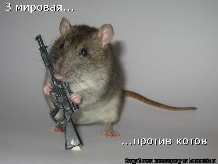 3 мировая... ...против котов... Котоматрица: 3 мировая... ...против котов