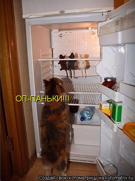 ОП-ПАНЬКИ!!!... Котоматрица: ОП-ПАНЬКИ!!!