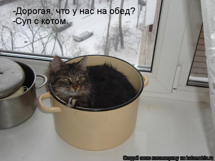 -Дорогая, что у нас на обед? -Суп с котом.... Котоматрица: -Дорогая, что у нас на обед? -Суп с котом.