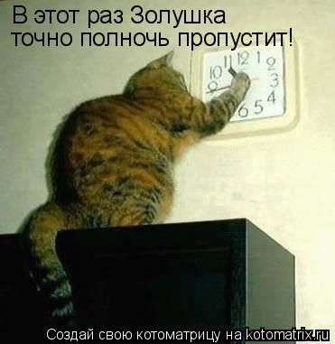 В этот раз Золушка точно полночь пропустит!... Котоматрица: В этот раз Золушка точно полночь пропустит!