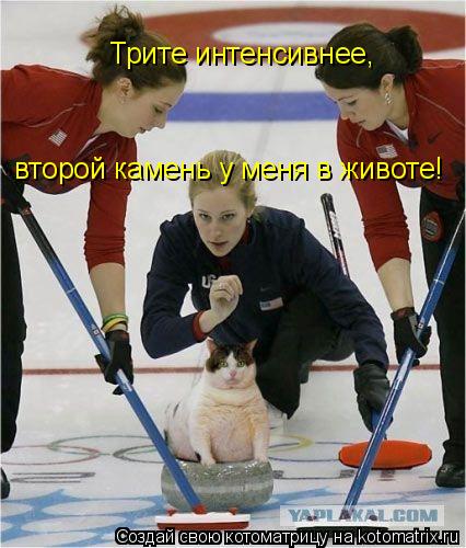 Трите интенсивнее, второй камень у меня в животе! Трите интенсивнее, второй камень у меня в животе! Т... Котоматрица: Трите интенсивнее, второй камень у меня в животе! Трите интенсивнее, второй камень у меня в животе! Трите интенсивнее, второй камень у меня в
