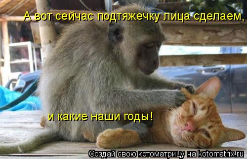 А вот сейчас подтяжечку лица сделаем, и какие наши годы!... Котоматрица: А вот сейчас подтяжечку лица сделаем, и какие наши годы!