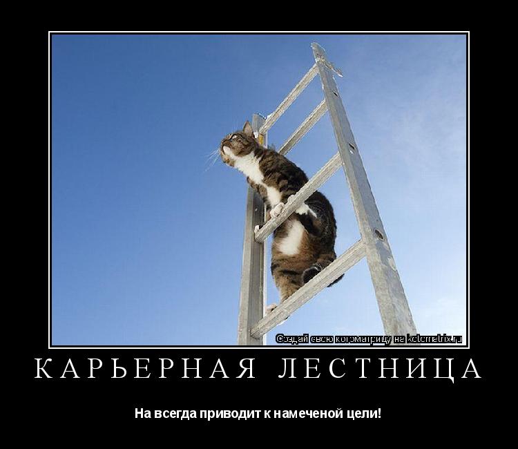Карьерная лестница На всегда приводит к намеченой цели!... Котоматрица: Карьерная лестница На всегда приводит к намеченой цели!