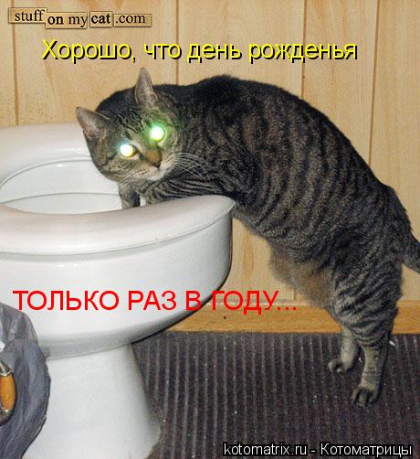 Хорошо, что день рожденья ТОЛЬКО РАЗ В ГОДУ...... Котоматрица: Хорошо, что день рожденья ТОЛЬКО РАЗ В ГОДУ...